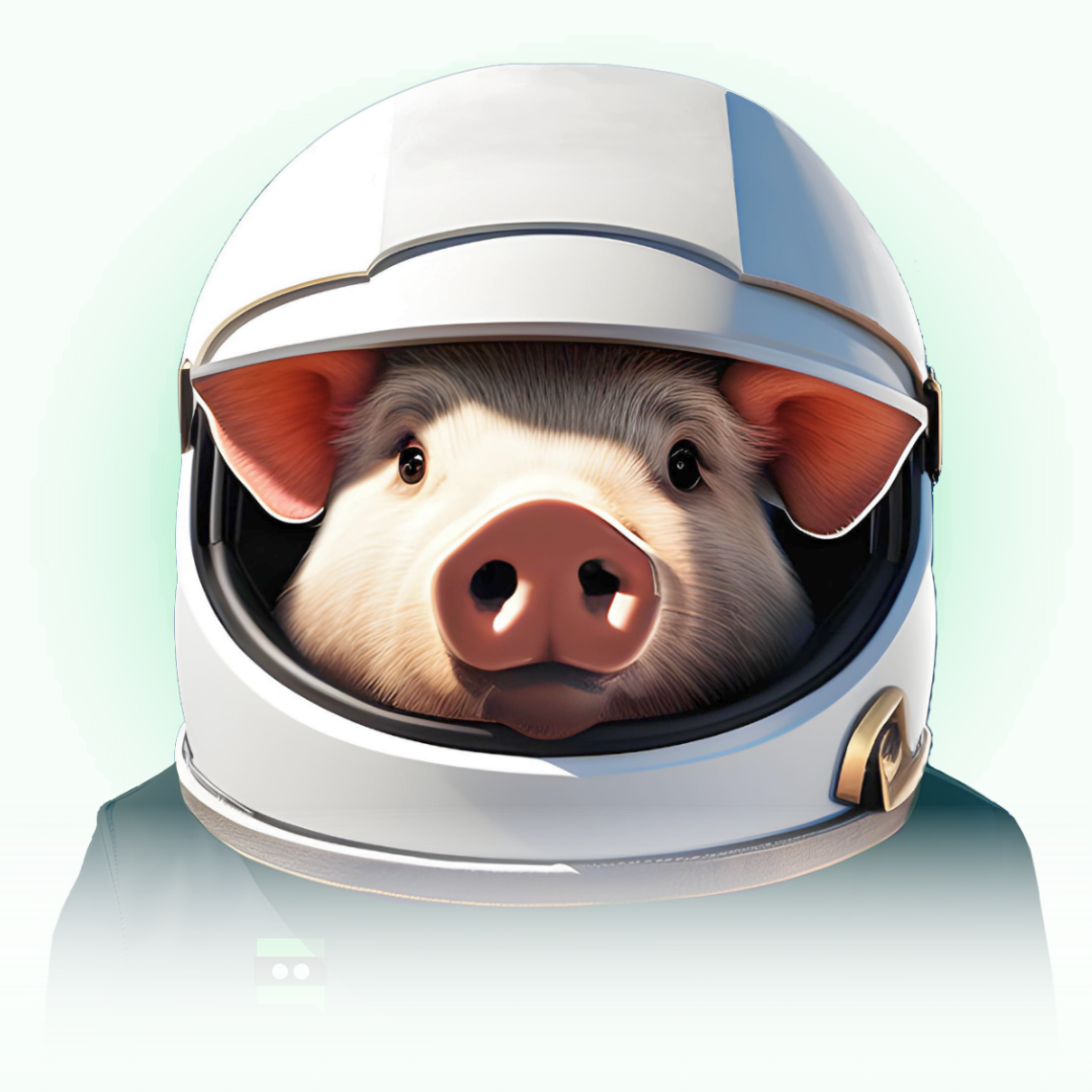 Swine It Podcast Show